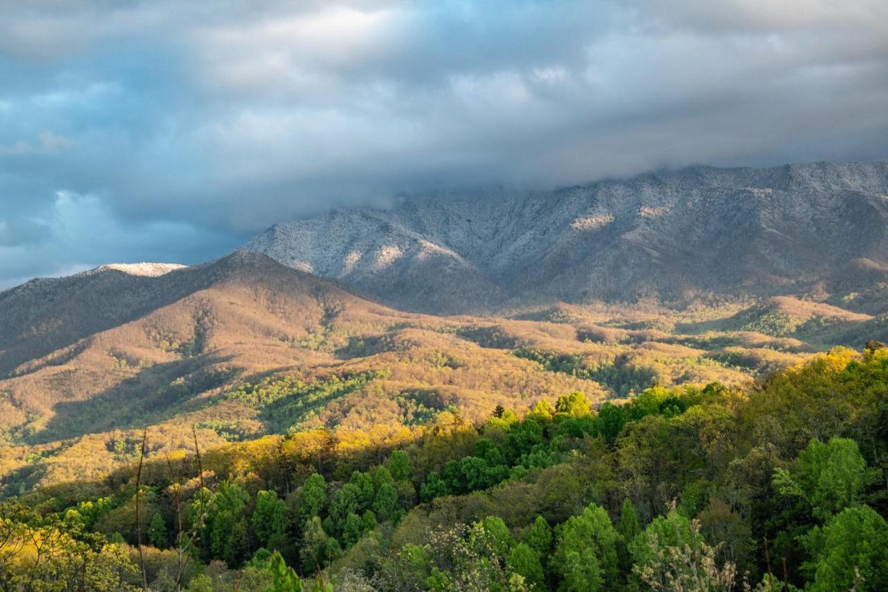 فيلا جاتلينبرجفي Majestic Leconte المظهر الخارجي الصورة