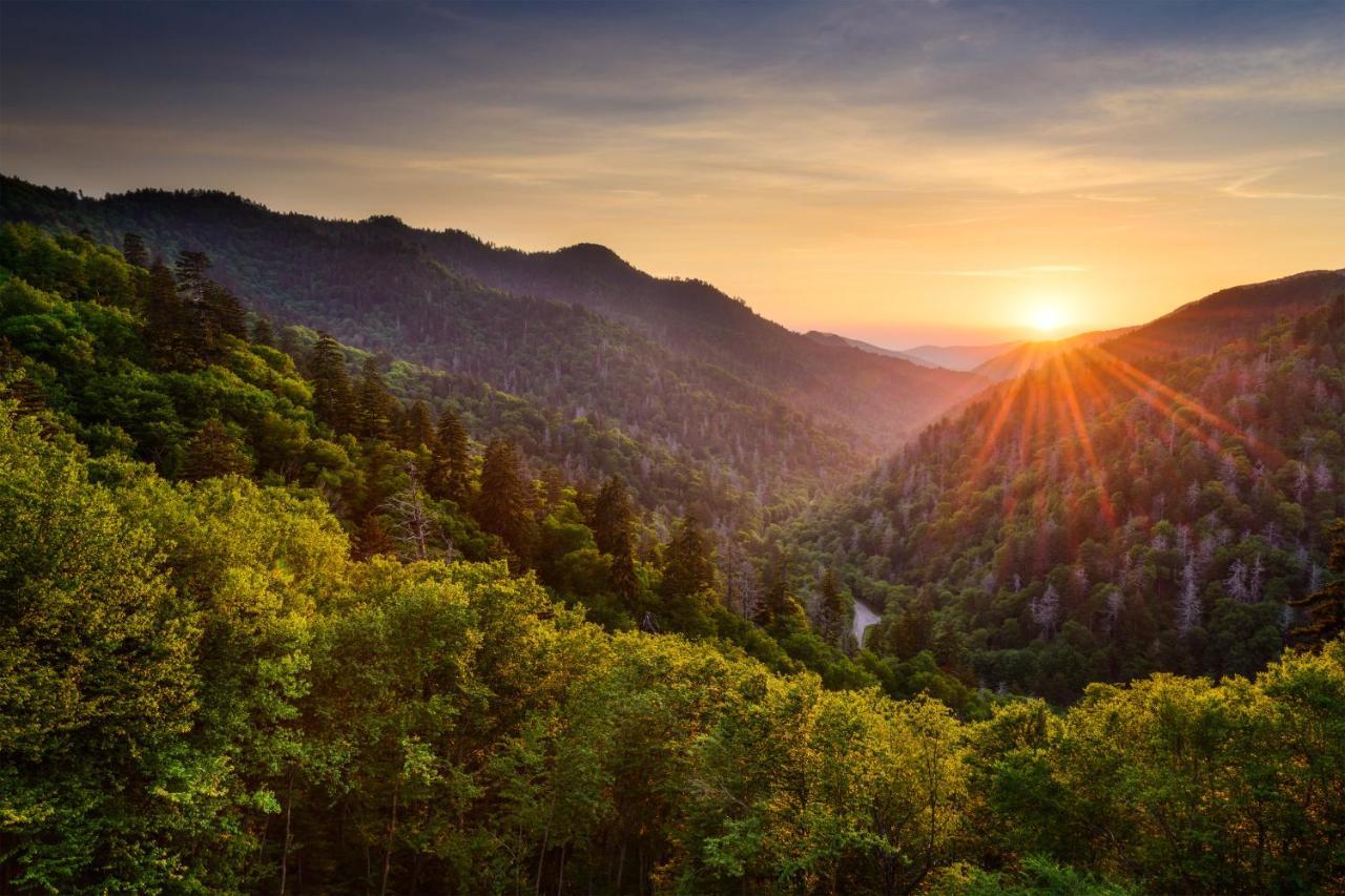 فيلا جاتلينبرجفي Majestic Leconte المظهر الخارجي الصورة